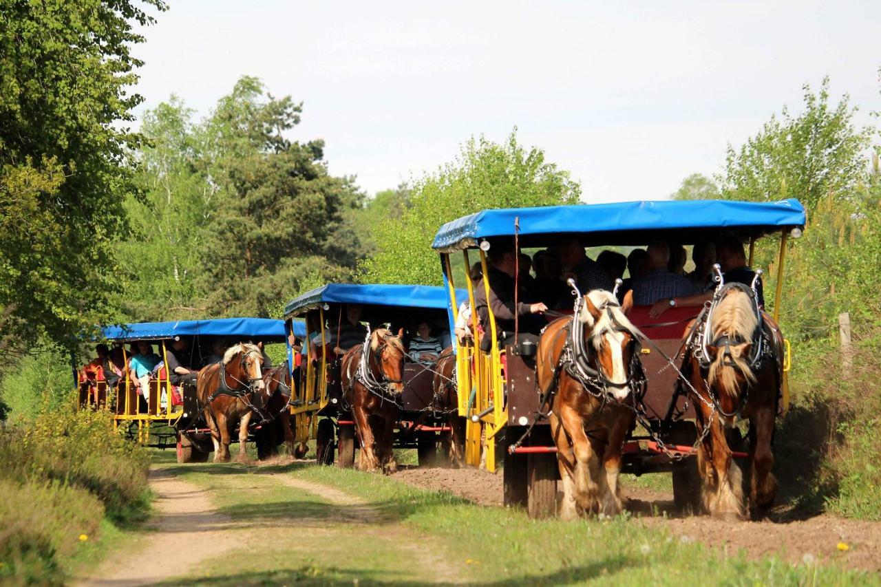 Landhotel Hof Barrl Schneverdingen Luaran gambar